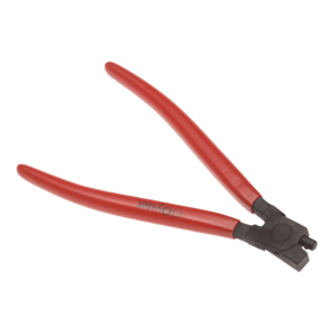 Pinza