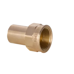 Female Straight Adaptor 12 x 1/2"